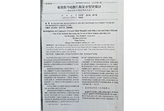FS系列增強(qiáng)快干硅溶膠